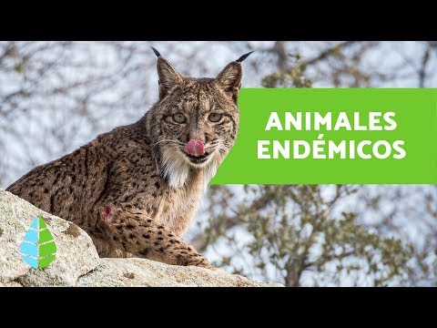 Introduction of exotic species: causes and consequences – evidencenetwork.ca