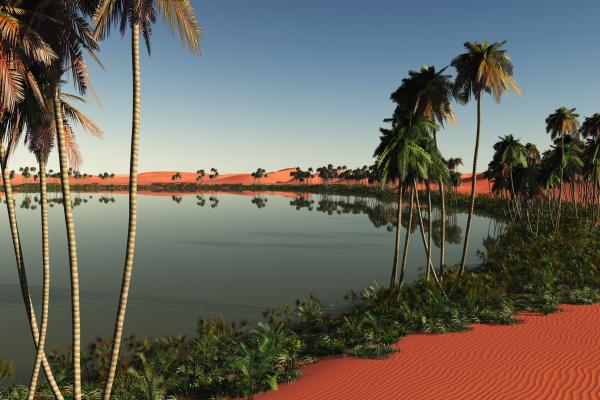 Sahara Desert: where is it, countries, temperature, animals and floods - What are the plants of the Sahara Desert?