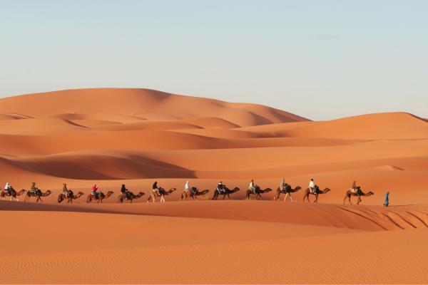 Sahara Desert: where is it, countries, temperature, animals and floods - What is the climate and temperature like in the Sahara Desert?