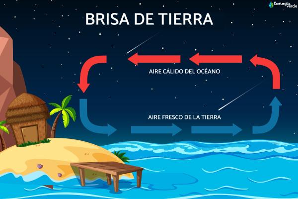 Land breeze: what is it, how is it formed and different from the sea breeze - What is the land breeze? Where is it most common?