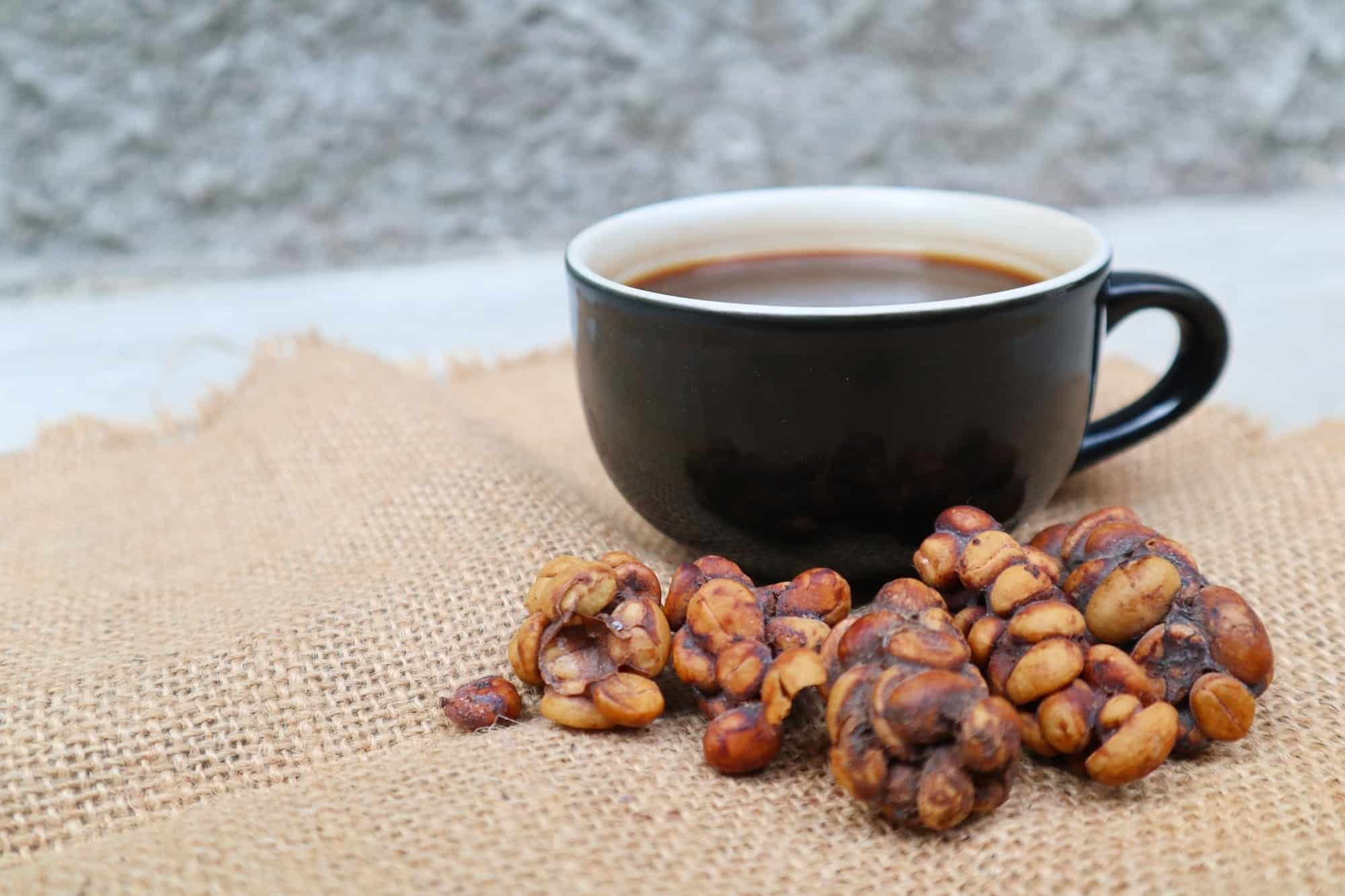 What gives civet coffee its unique flavor?