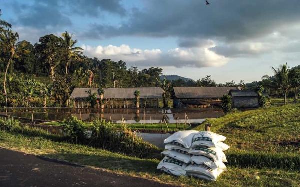 Petroleum products - Fertilizers