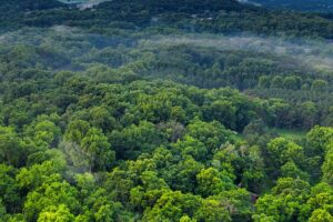 Great Green Wall of China: what it is, where it is and why it was built