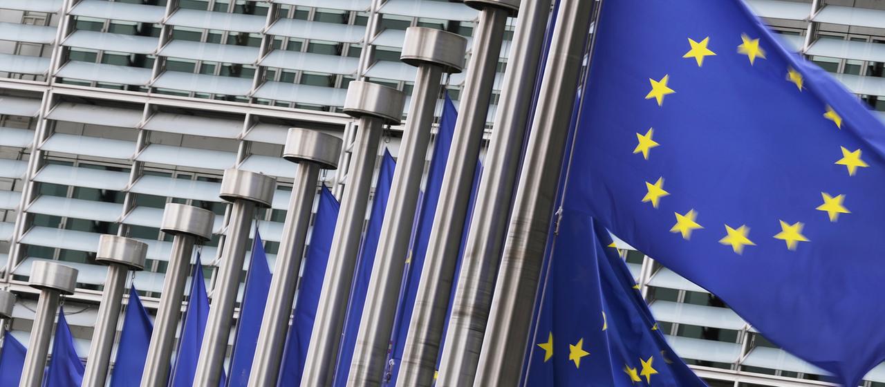 EU flags in Brussels