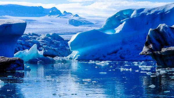 Découverte sans précédent en Antarctique : des animaux marins jamais vus par la science découverts - Le glacier Denman, le réchauffement des océans et pourquoi cette découverte est arrivée au moment le moins attendu