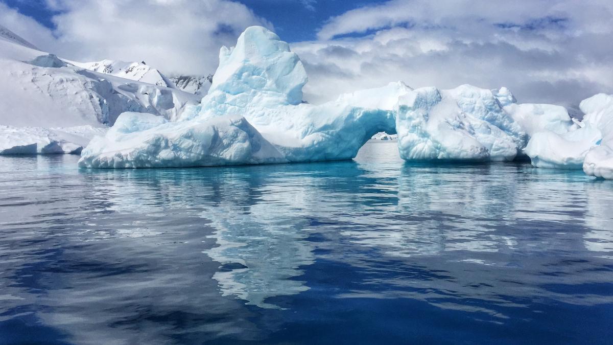 Découverte sans précédent en Antarctique : des animaux marins jamais vus par la science sont découverts