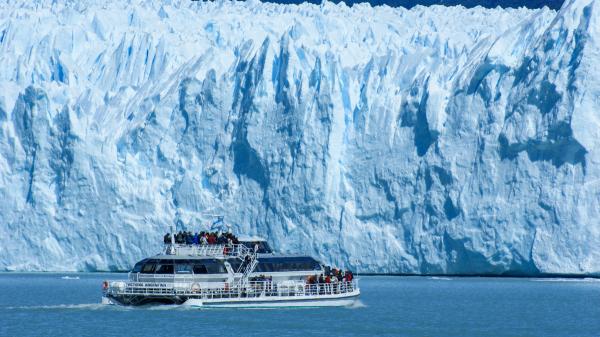 Découverte sans précédent en Antarctique : des animaux marins jamais vus par la science sont découverts - Une expédition avec un autre objectif qui a fini par révéler un monde caché sous la glace de l'Antarctique