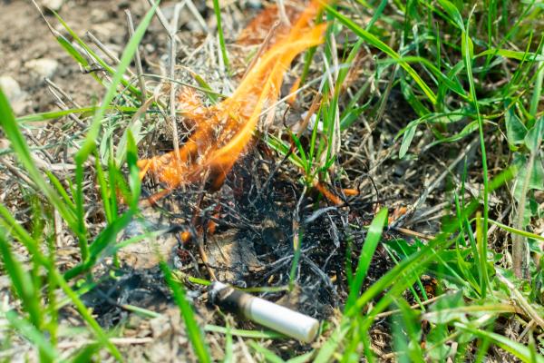 Incendies de forêt : qu'est-ce que c'est, causes et conséquences - Causes des incendies de forêt