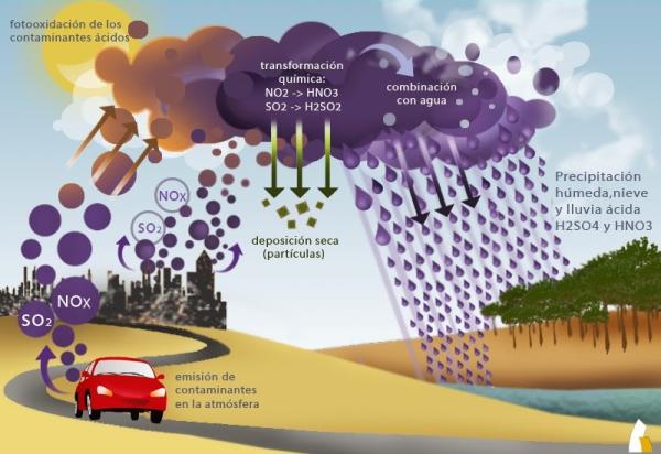 Les pluies acides : qu'est-ce que c'est, causes et conséquences - Comment se produisent les pluies acides