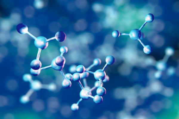 Les niveaux d'organisation des êtres vivants - Niveau moléculaire