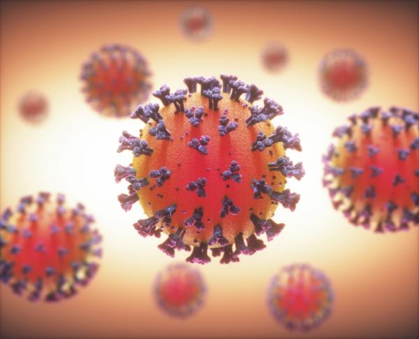 Agents pathogènes : qu'est-ce qu'ils sont et types - Virus