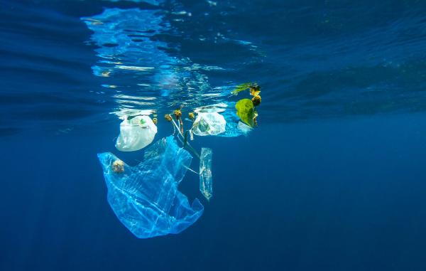 Océans : qu'est-ce qu'ils sont, combien ils sont et caractéristiques - Pollution des océans