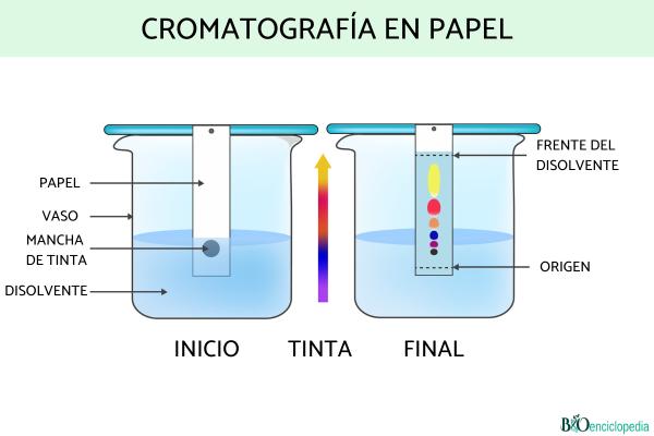 Chromatographie: qu'est-ce que c'est et types - Types de chromatographie