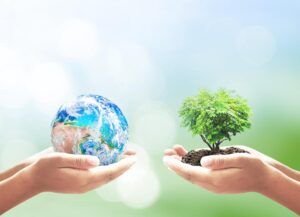 Déséquilibre écologique: qu’est-ce que c’est, causes et conséquences