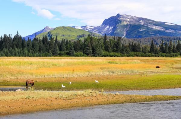 Biosphère: qu'est-ce que c'est, caractéristiques et couches - Exemples de biosphère