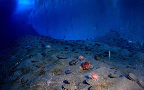 Les 7 théories de l'origine de la vie - Théorie des sources hydrothermales