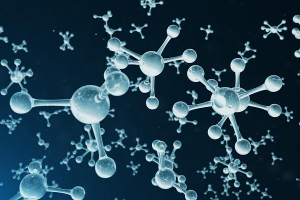 Bioéléments : qu'est-ce que c'est et classification - Que sont les bioéléments