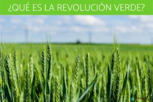 La révolution verte : qu’est-ce que c’est, avantages et inconvénients