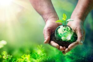 L’écoconception : qu’est-ce que c’est et exemples