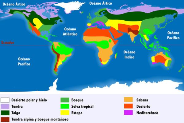 Que sont les biomes : types et exemples - Types de biomes