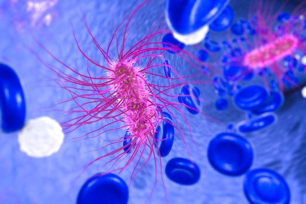 Royaume Monera: qu'est-ce que c'est, caractéristiques, classification, reproduction et exemples - Qu'est-ce que le royaume Monera