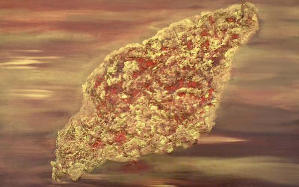 Les 5 royaumes de la nature - Kingdom Protista