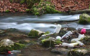 Pollution des déchets : causes, conséquences et solutions
