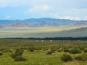 Prairie