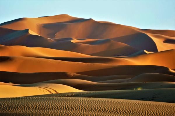 Désert : caractéristiques, climat, flore et faune - Climat désertique