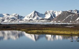 Toundra : caractéristiques, climat, types, flore et faune