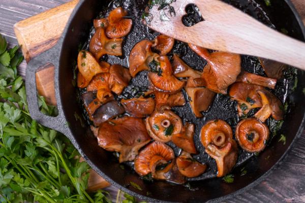 Chanterelle or Lactarius deliciosus - What recipes with chanterelles are there?