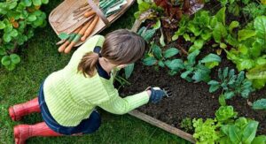 Activités écologiques pour les enfants