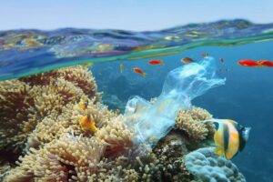 Biodégradation du plastique : qu’est-ce que c’est et méthodes