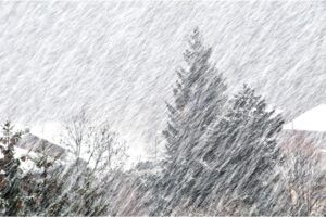 Blizzard de neige: qu’est-ce que c’est, types et dangers