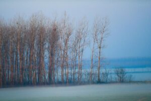Brouillard d’advection : qu’est-ce que c’est et comment il se forme