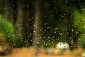 Bruine: qu’est-ce que c’est, conséquences et différence avec la pluie