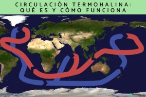 Circulation thermohaline: qu’est-ce que c’est et comment ça marche