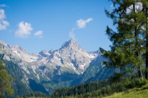 Climat de montagne: qu’est-ce que c’est, caractéristiques, types, flore et faune