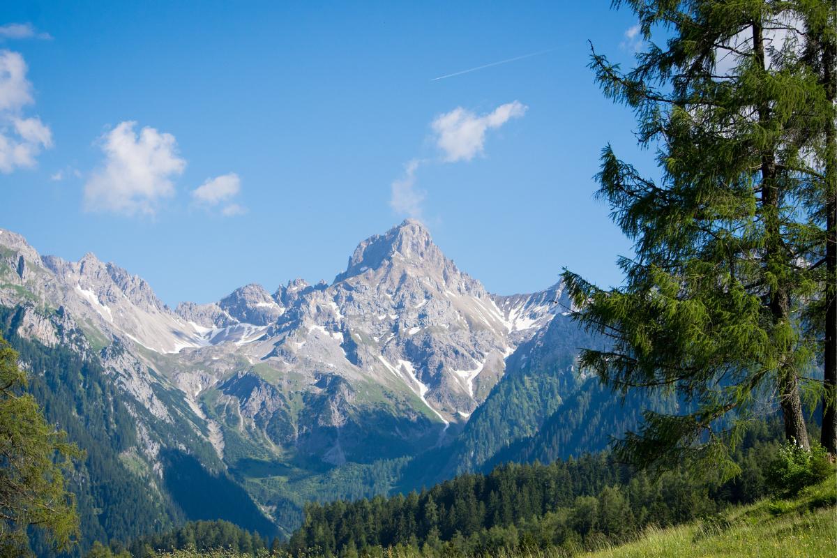 Climat de montagne: qu'est-ce que c'est, caractéristiques, types, flore et faune