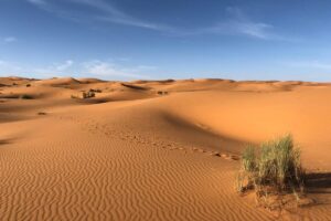 Climat désertique: qu’est-ce que c’est, caractéristiques, température, flore et faune