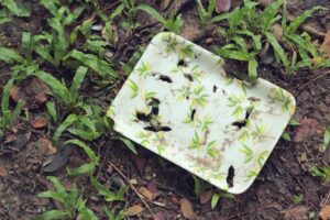 Combien de temps faut-il pour que le plastique biodégradable se dégrade ?