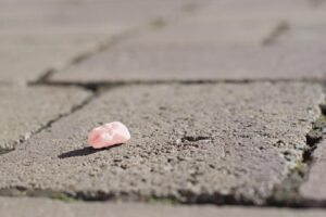 Combien de temps faut-il pour qu’un chewing-gum se dégrade ?
