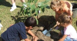 Comment enseigner l’écologie dans les écoles