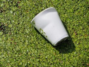 Comment fabriquer du plastique biodégradable avec de la fécule de maïs