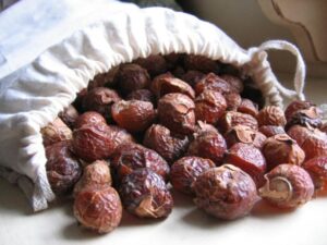 Comment faire du savon liquide avec des noix de lavage