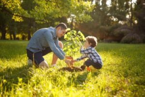 Comment nous pouvons aider à prendre soin des arbres
