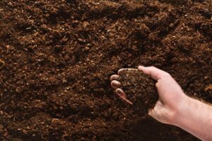 Comment prendre soin des ressources naturelles