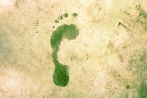 Comment réduire l’empreinte écologique