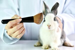 Comment savoir si un produit est testé sur les animaux
