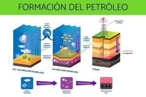 Comment se forme le pétrole